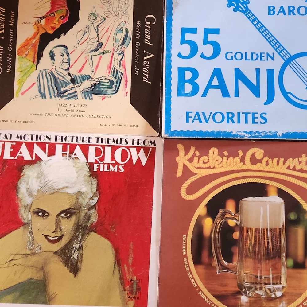 Vinyl Record Collection - Bundle 4: Bonus / Decorative / Misc